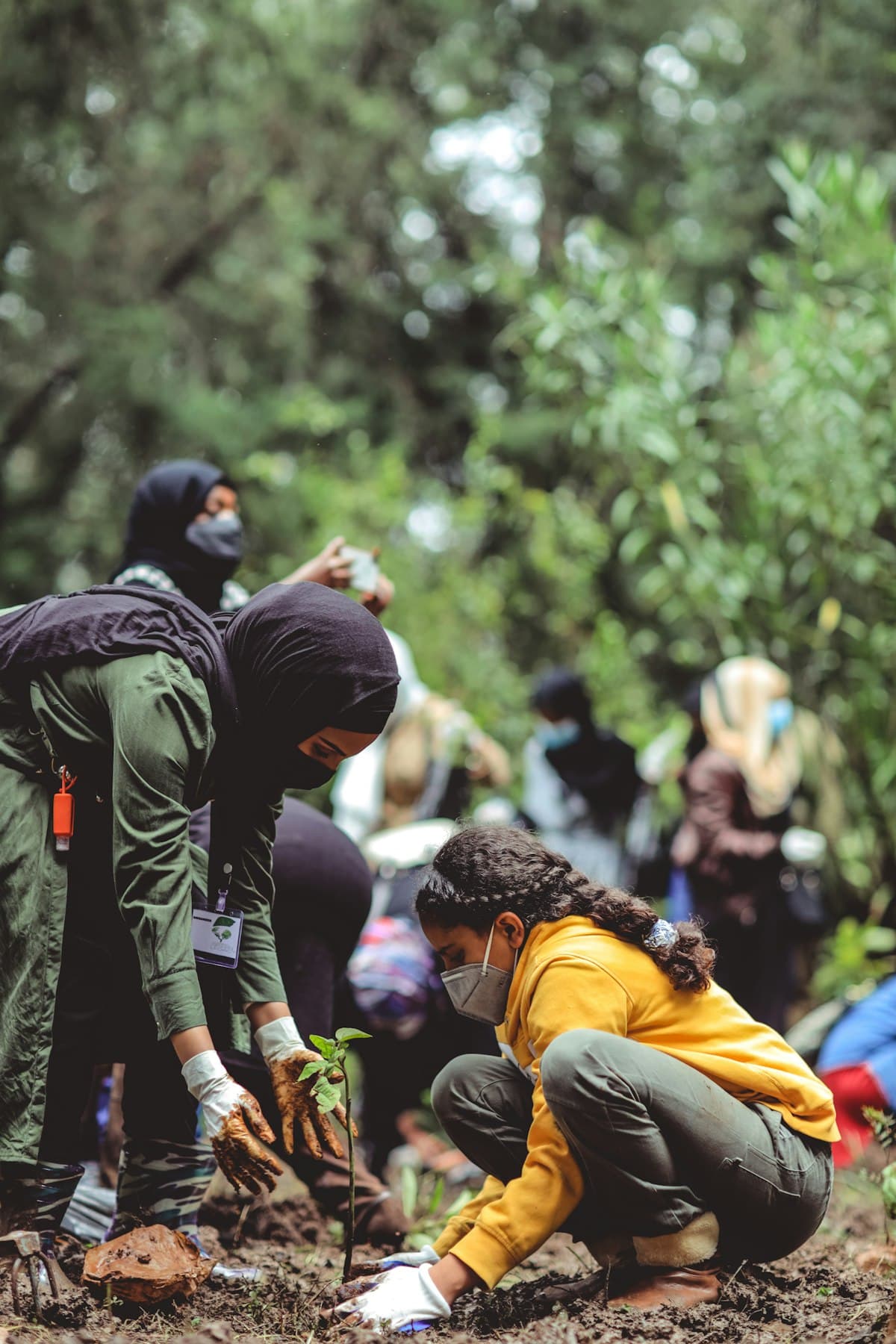 Community volunteers planting trees as part of a climate resilience initiative